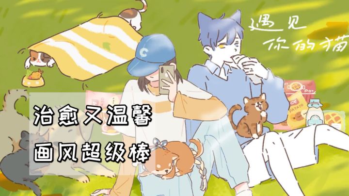 遇见你的猫,治愈又温馨画风超级棒!截图