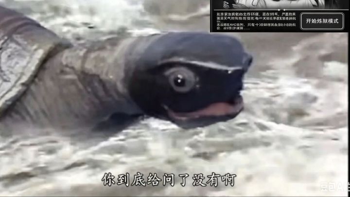看完不笑的是这个👍截图