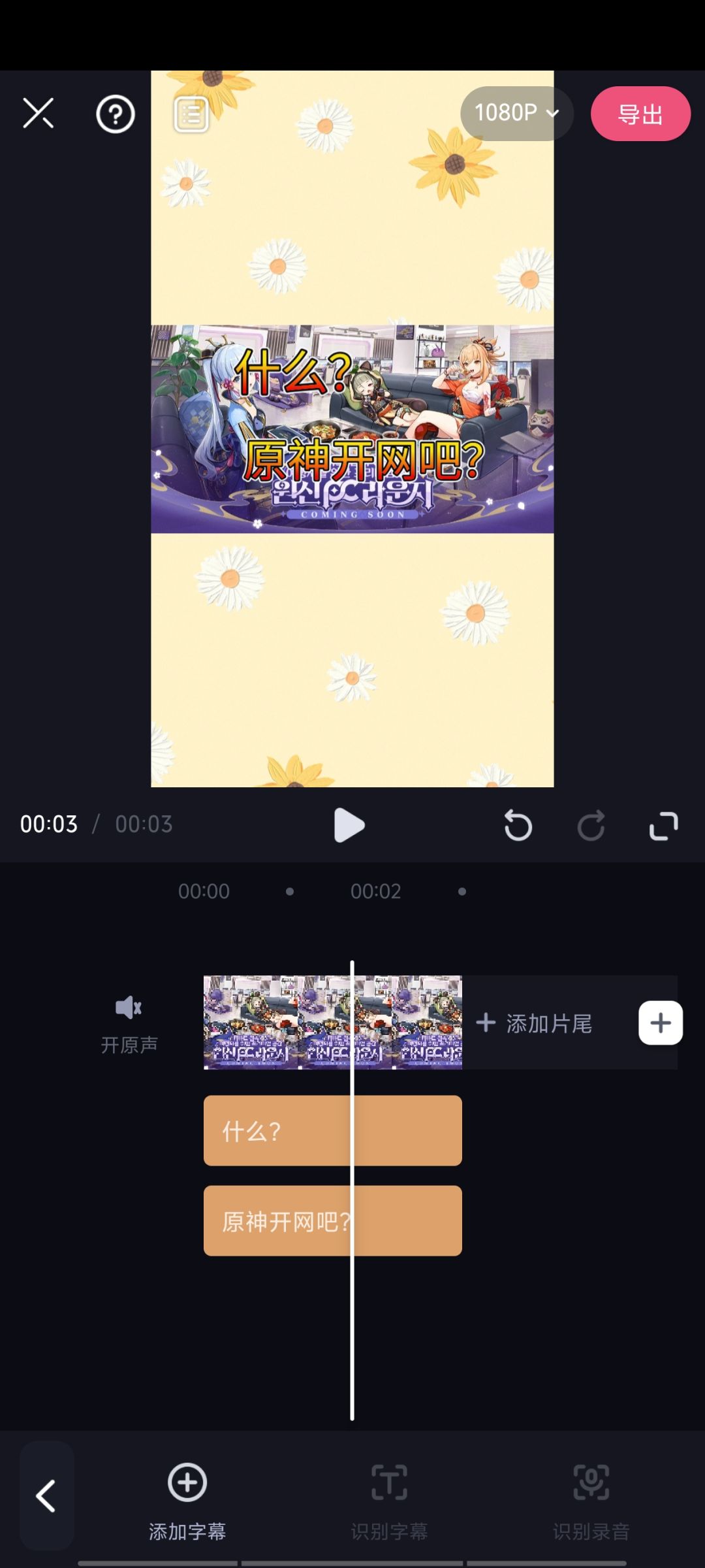 video-4397205