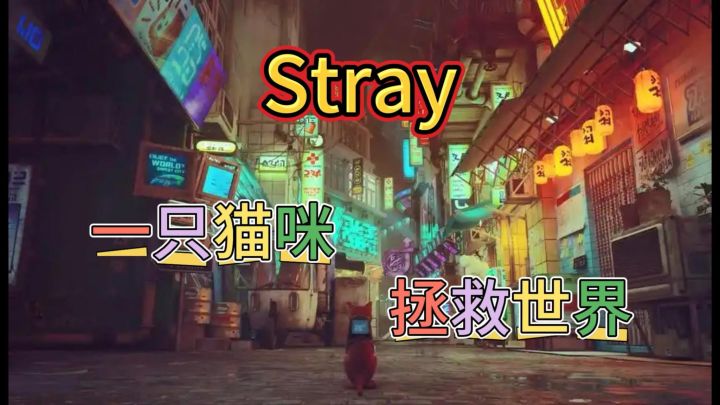 《Stray》迷失在未来都市的猫咪,能否找到回家的道路?截图