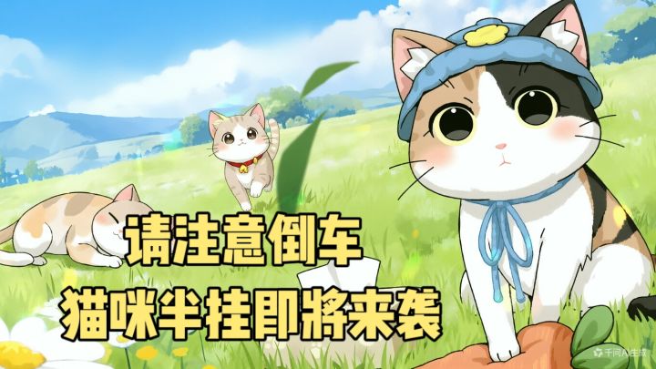 为了给猫主子装修豪宅❗️给流浪猫规划逃跑路线指挥交通❓截图