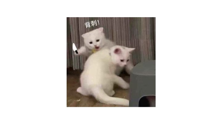 不减速好难啊截图