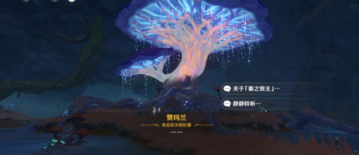 原神5.5主线过完，后续彩蛋路径指引截图