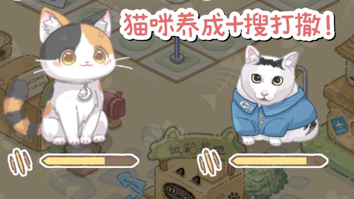 猫咪养成+搜打撤❓❗玩起来治愈又解压❗截图