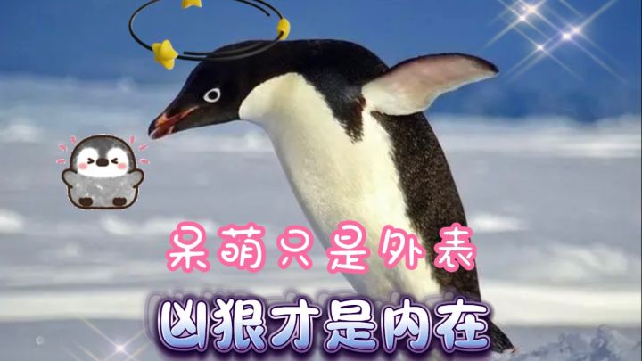 动物王者zooba截图