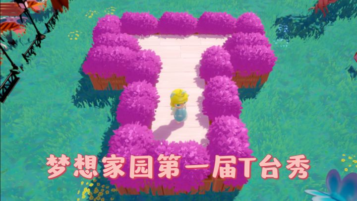 梦想家园|第一届T台秀截图