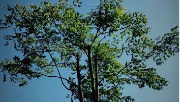 人跌之云上闯关过关小技巧