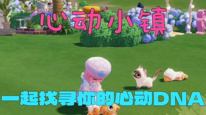 鲸落之处,是心之所向——《心动小镇》你的治愈乌托邦!截图