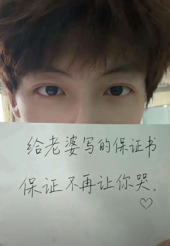 鸽子神截图