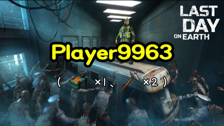 抄家Player9963《地球末日生存》截图