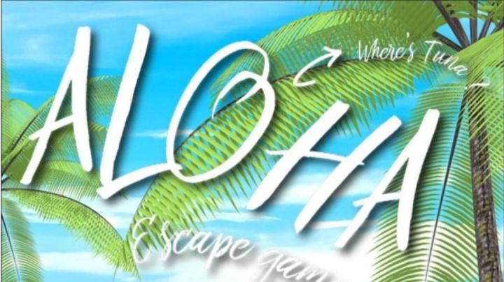 【密室逃脱】aloha之找鲨鱼解密游戏攻略截图