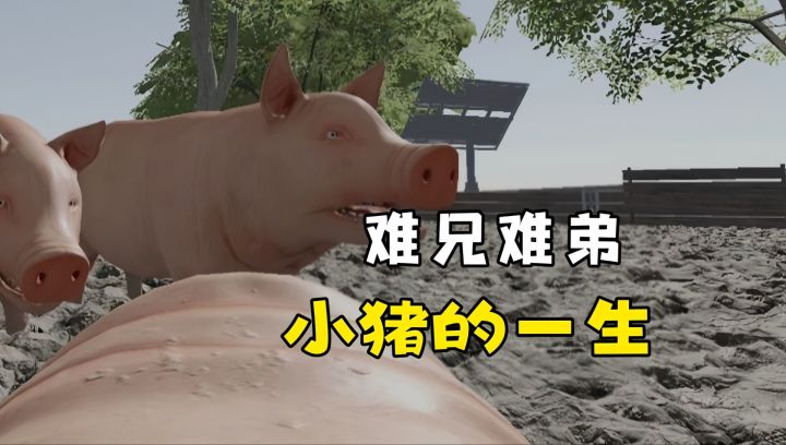 我的无力成了我的败笔💔无法操控的猪生!当猪真的好累截图