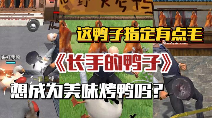 差点变成“肯德鸭”🔥如何逃避主人的追杀…笑到最后截图