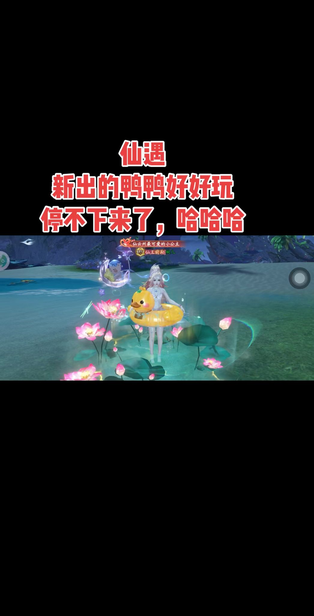 video-5704106