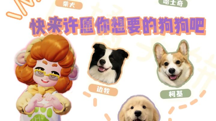 快来许愿你想要的狗狗!截图