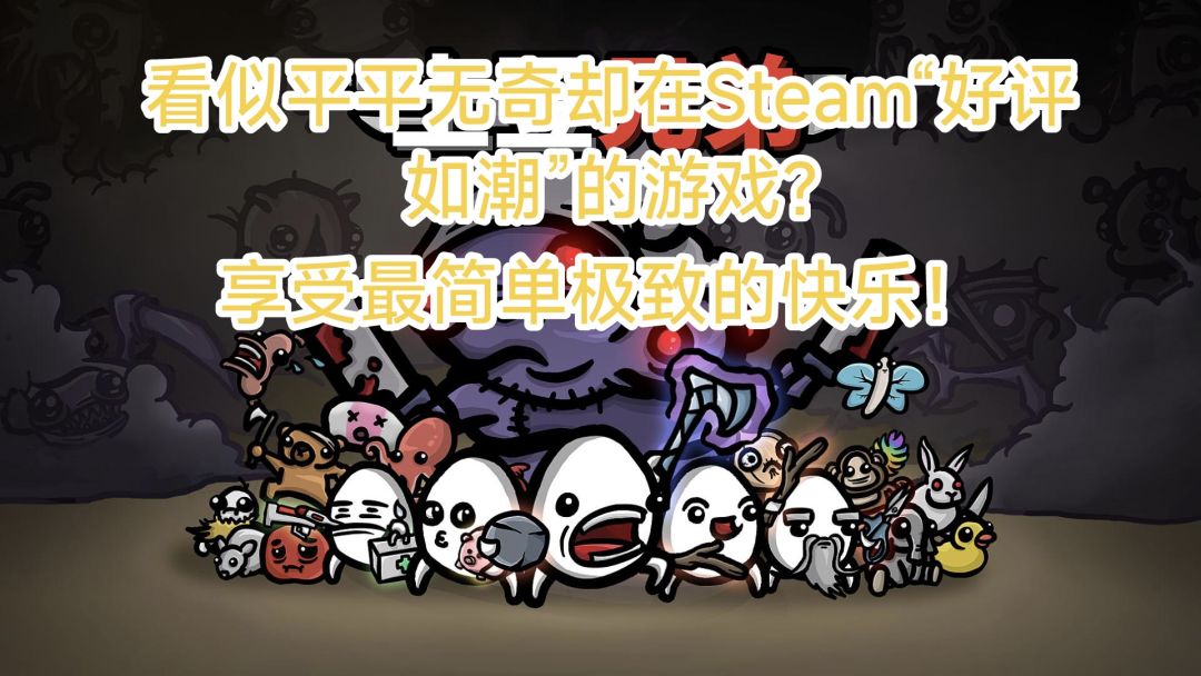 video-4541637