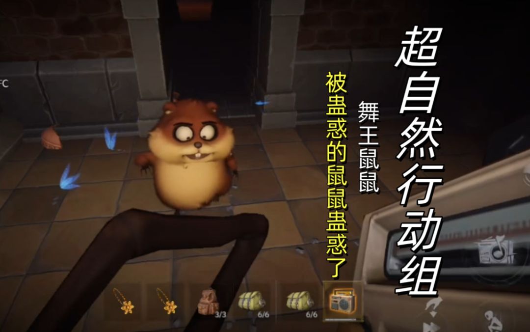 video-5194062