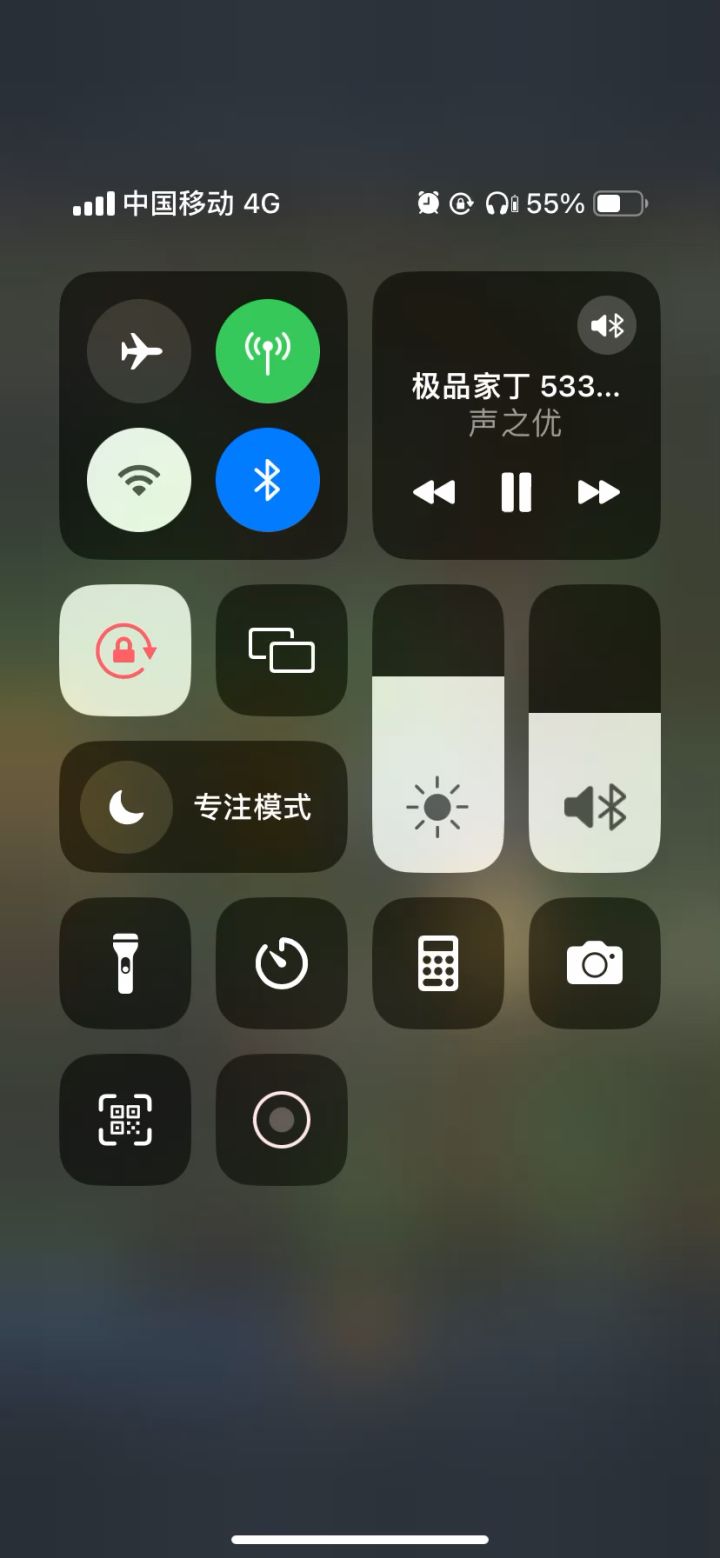 正八经的帕落杀敌攻略。截图