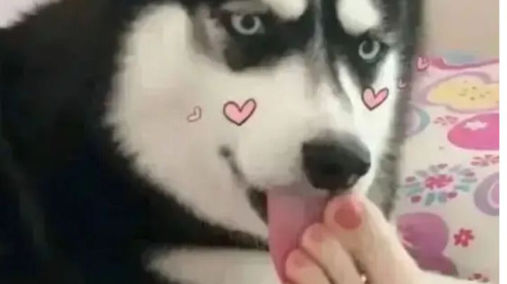 有伤白光，双切爆鲨白天光女。截图