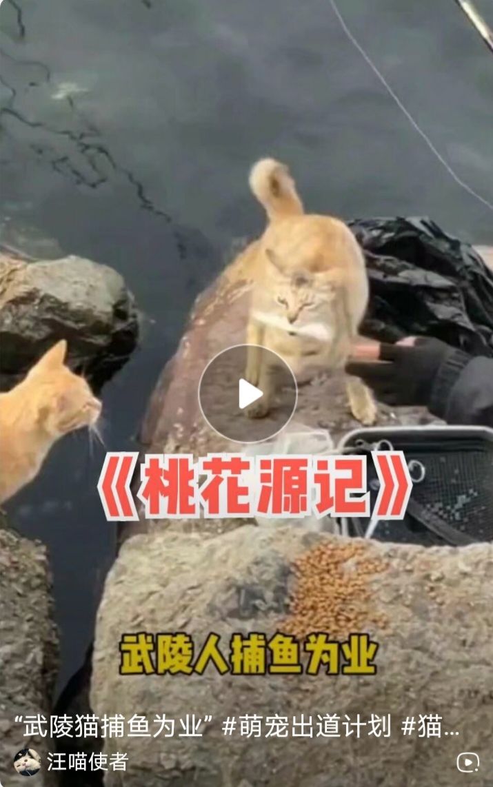 发现好东西😏截图