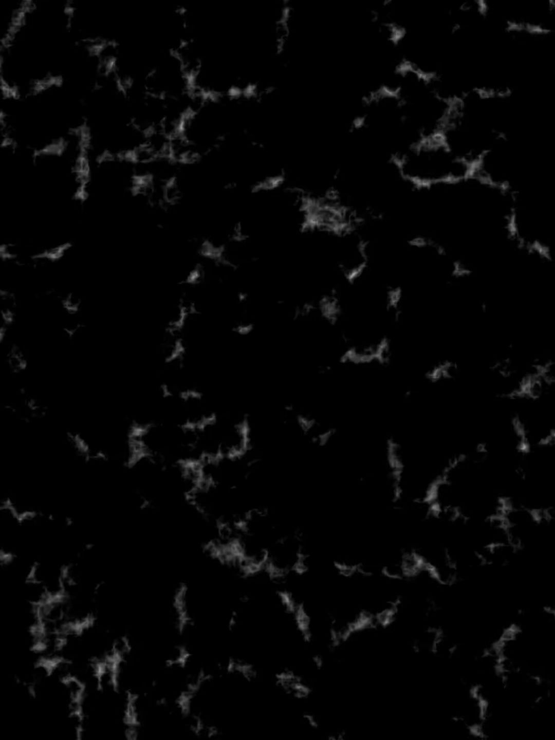 video-5055303