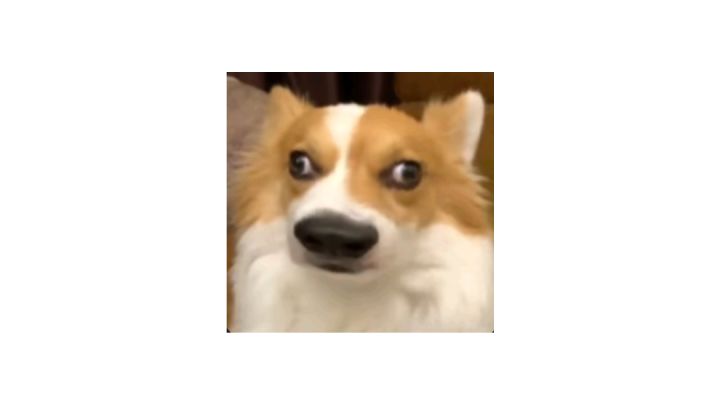 ...截图