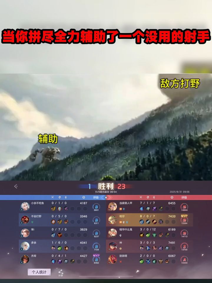 当你拼尽全力辅助了一个没用的射手截图