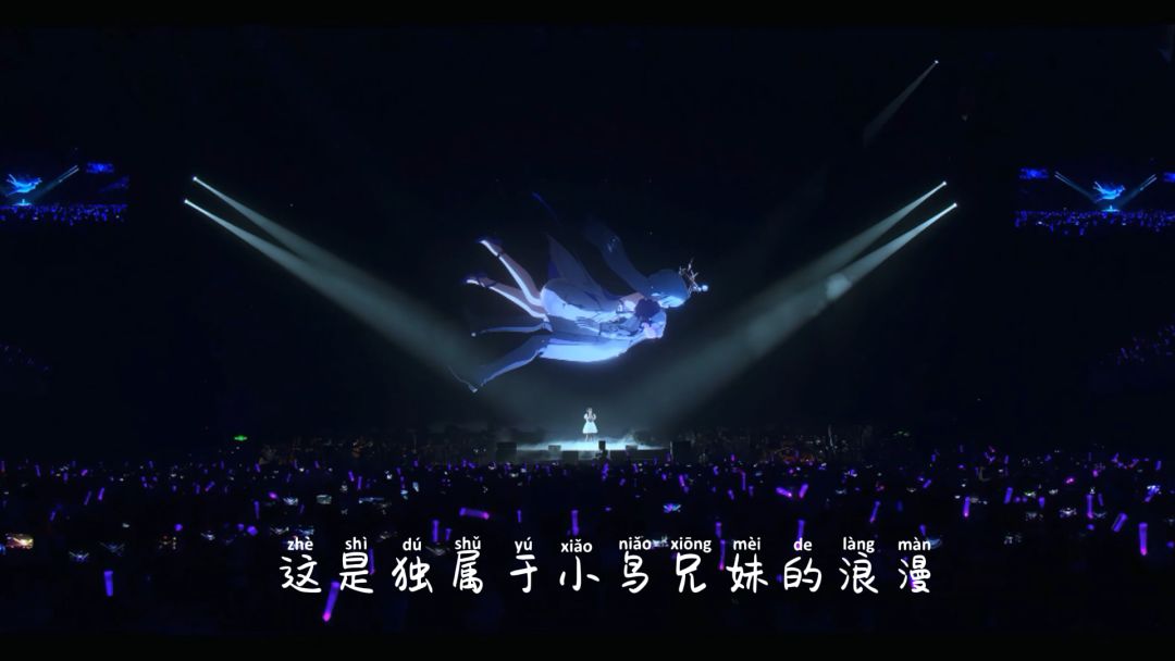 video-4922155