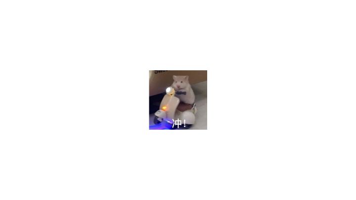 笑不活了属于是截图