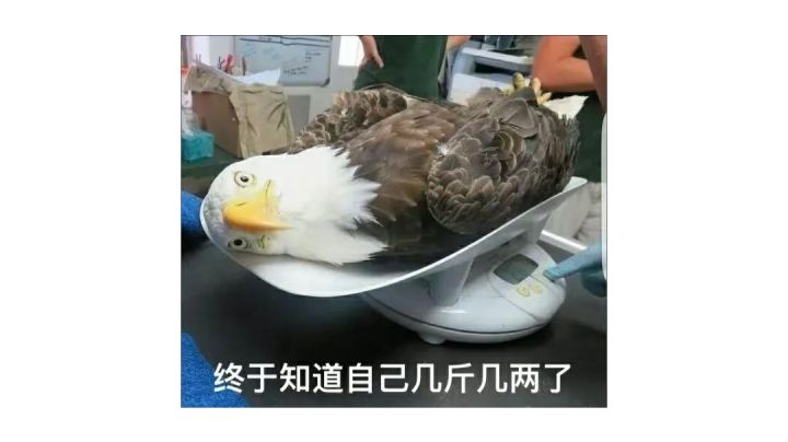 斯嘉丽超帅连杀,反败为胜截图