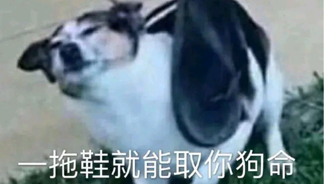 video-2292559
