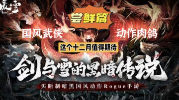 暖雪：国风武侠动作肉鸽，这个十二月值得期待！