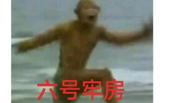 新手打泡泡及养卡思路