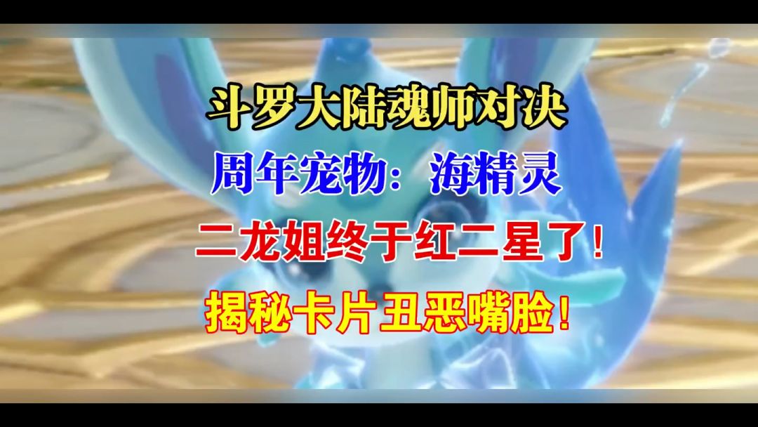 video-3681690