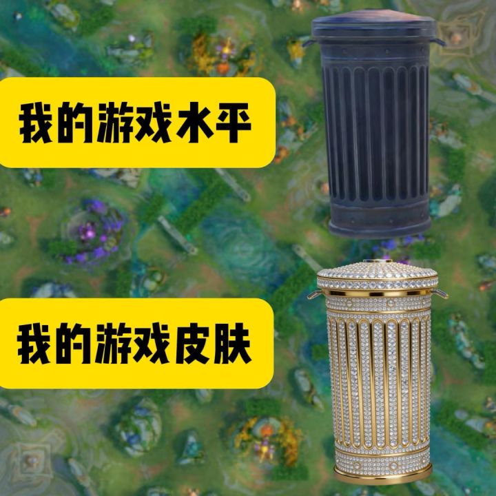 我的游戏水平vs我的游戏皮肤截图