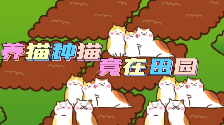 养猫种猫,竟在田园#萌宠在哪里#截图