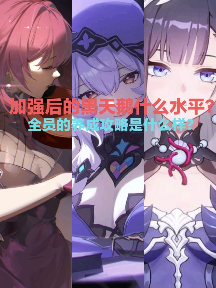 揭秘黑天鹅加强后的神奇魅力！dot队养成攻略全攻略。截图