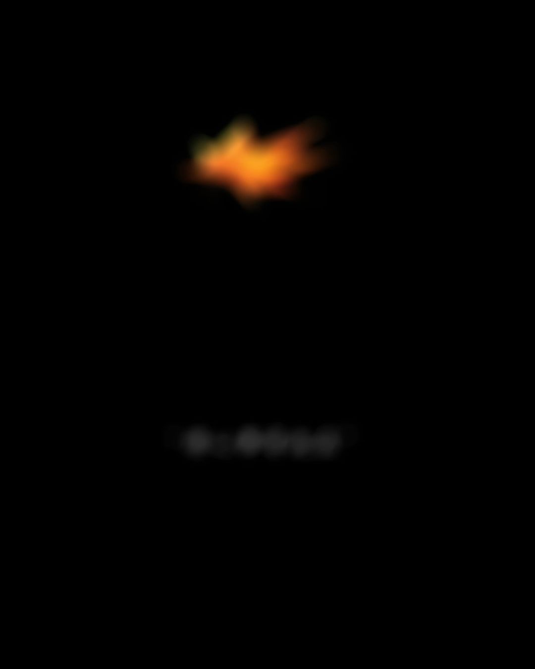 video-4480436