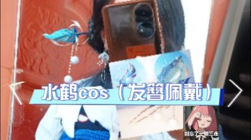 【氛围感】水鹤cos（发簪佩戴）