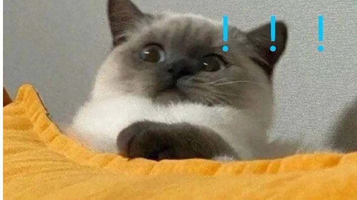 全自动船新版本截图