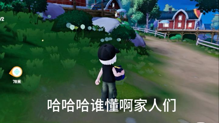 好消息拍到了露营鸟了截图
