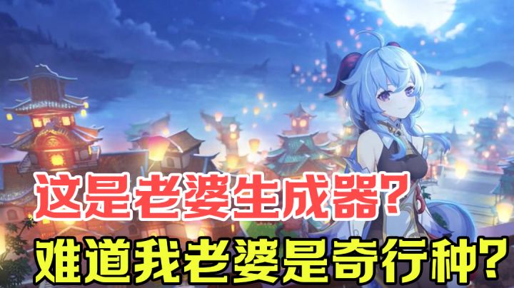 【游戏测评】去你的老婆生成器!我信你个鬼 #独家游戏分享官#截图