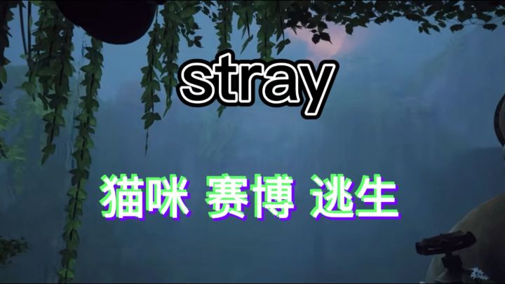重生之成为一只猫 🐱在末日废土世界中大逃生截图