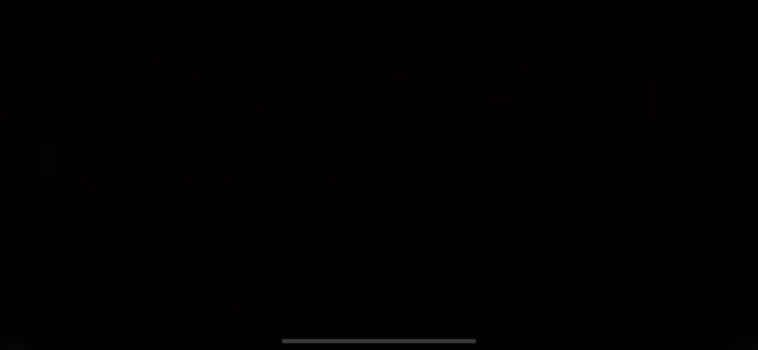 video-4603212