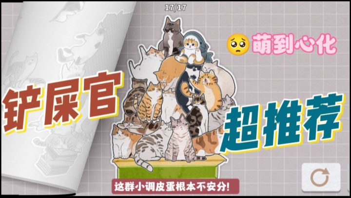 拼图拼到傻笑!这群猫猫挤在一起也太会叫了吧!截图