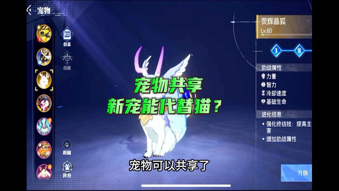 video-3849435