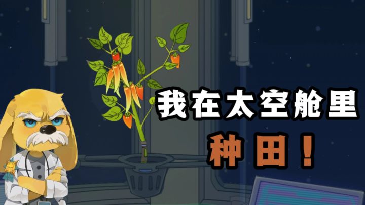 反套路种田❓这次在太空舱里种植了❗截图