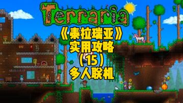 泰拉瑞亚手游实用攻略：多人联机模式的功能，快来学习一下吧！