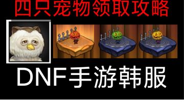 DNF手游韩服：猫头鹰宠物和三只南瓜宠物领取攻略！