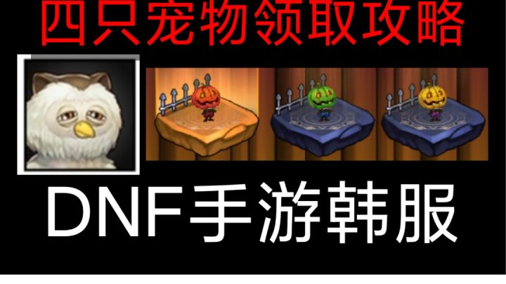 DNF手游韩服:猫头鹰宠物和三只南瓜宠物领取攻略!截图